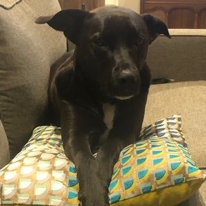 Meet your Posher, Lori